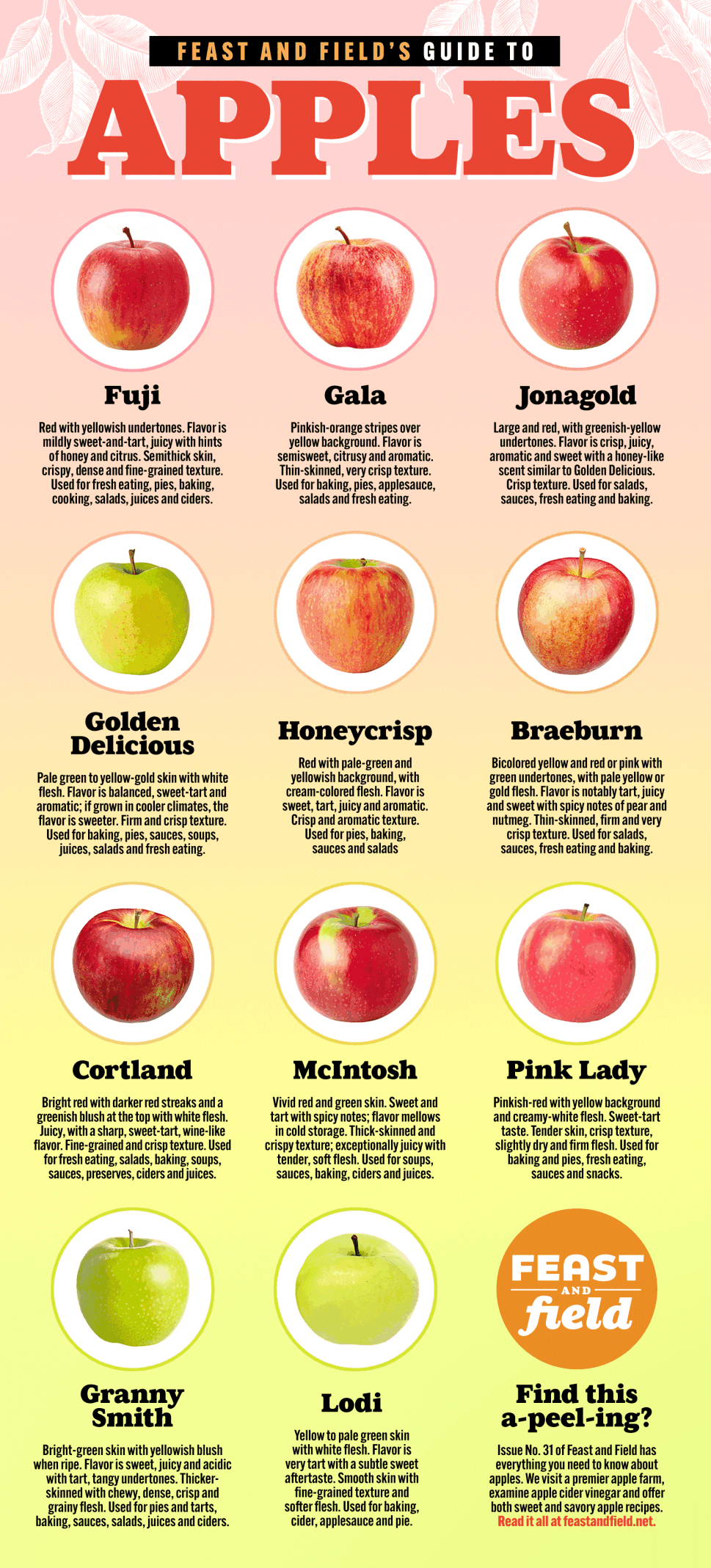 Apple guide